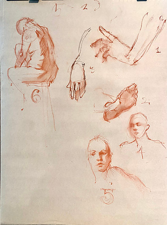 LIfe Drawing
